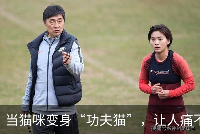 当猫咪变身“功夫猫”，让人痛不欲生的真实故事