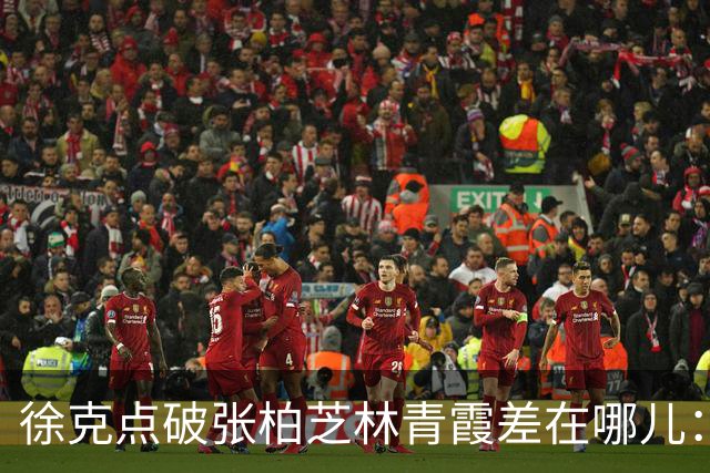 徐克点破张柏芝林青霞差在哪儿：同样美人，为什么一个像风一个像光
