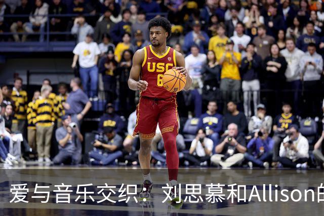 爱与音乐交织：刘思慕和Allison的法国浪漫婚礼